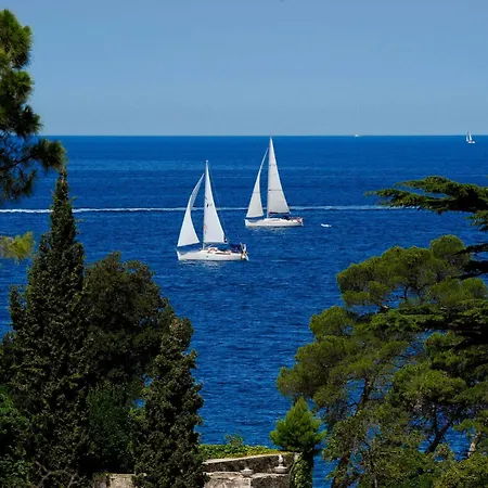 Отель Maistra Select Island Istra 4*