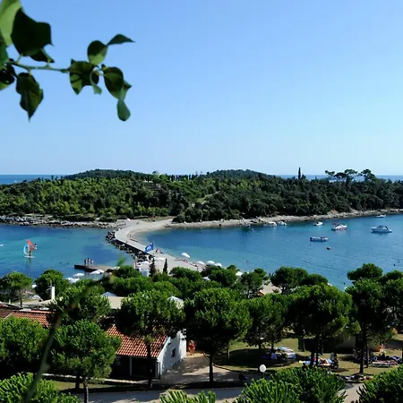 Maistra Select Island Istra Hotel Rovigno