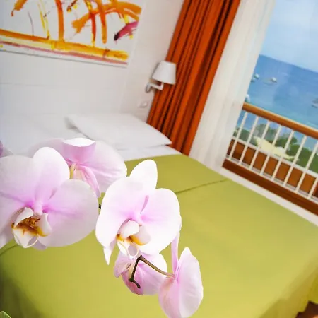 Maistra Select Island Istra Rovigno